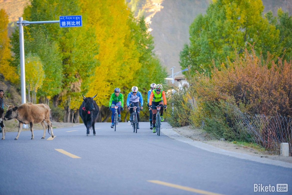 318国道,川藏线,骑闯天路-4990.JPG 318国道,川藏线,骑闯天路-4990.JPG