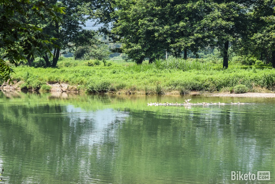 黄山格兰枫度 黄山格兰枫度