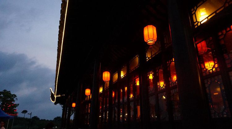 环上海,荷花节 环上海,荷花节