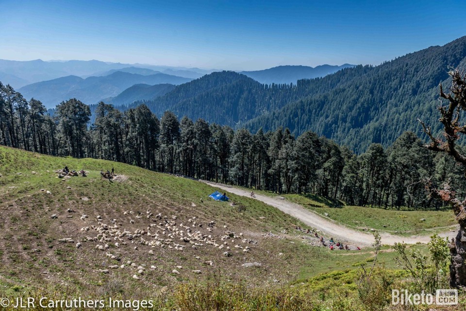 ϲ������ɽ��Ӣ��������