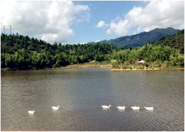 ������̩,����ʡȫ�����˶������г���,�������г�����,ɽ�س�����,��·��,ɽ�س�