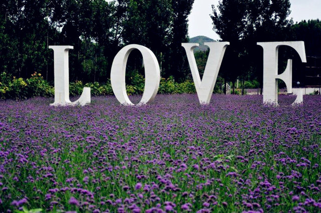 ������̩,����ʡȫ�����˶������г���,�������г�����,ɽ�س�����,��·��,ɽ�س�