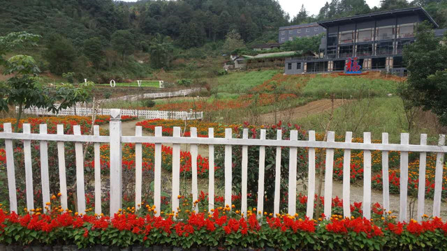 ������̩,����ʡȫ�����˶������г���,�������г�����,ɽ�س�����,��·��,ɽ�س�