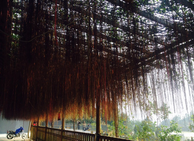 ������̩,����ʡȫ�����˶������г���,�������г�����,ɽ�س�����,��·��,ɽ�س�