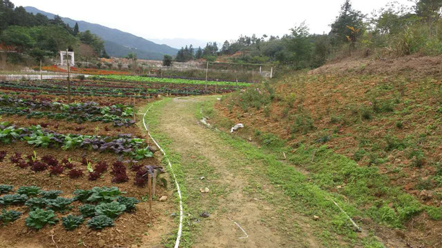 ������̩,����ʡȫ�����˶������г���,�������г�����,ɽ�س�����,��·��,ɽ�س�