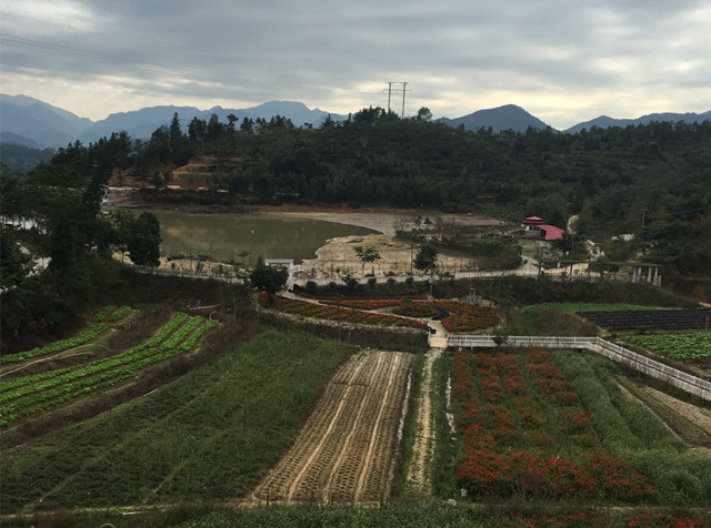 ������̩,�������г�����,ɽ�س�,ҵ��ɽ����