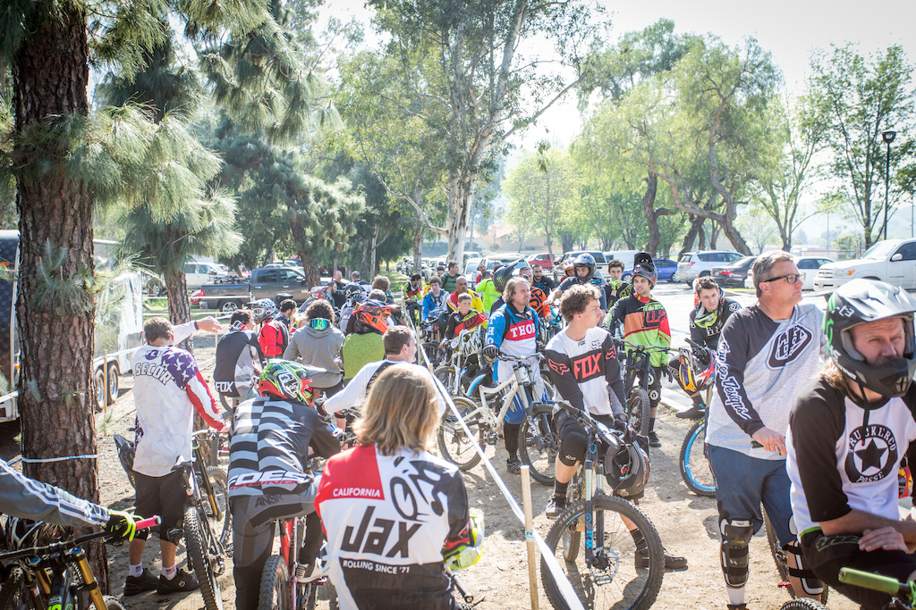 Gwin�������������Fontana�ٽ���