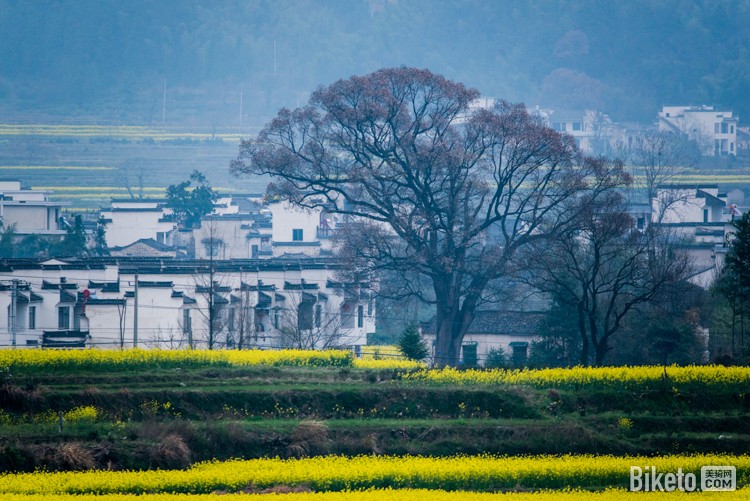 黄山赛,赛道考察,记者拍摄,黟县风光 黄山赛,赛道考察,记者拍摄,黟县风光