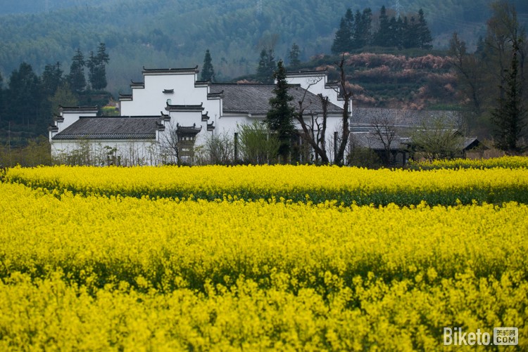 黄山赛,赛道考察,记者拍摄,黟县风光 黄山赛,赛道考察,记者拍摄,黟县风光