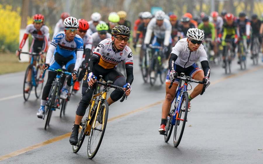 环青海湖,公路赛,业余公路赛 环青海湖,公路赛,业余公路赛