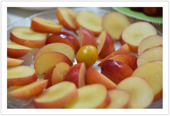 POHINIX����˹,RTS-ɭ�ؿ��޼ʳ���