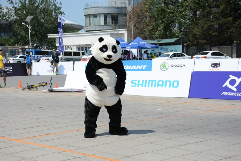 现场活动 现场活动