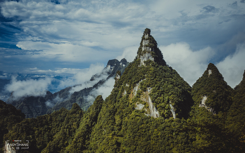 ������̥,��ţ,����,�ٽ���