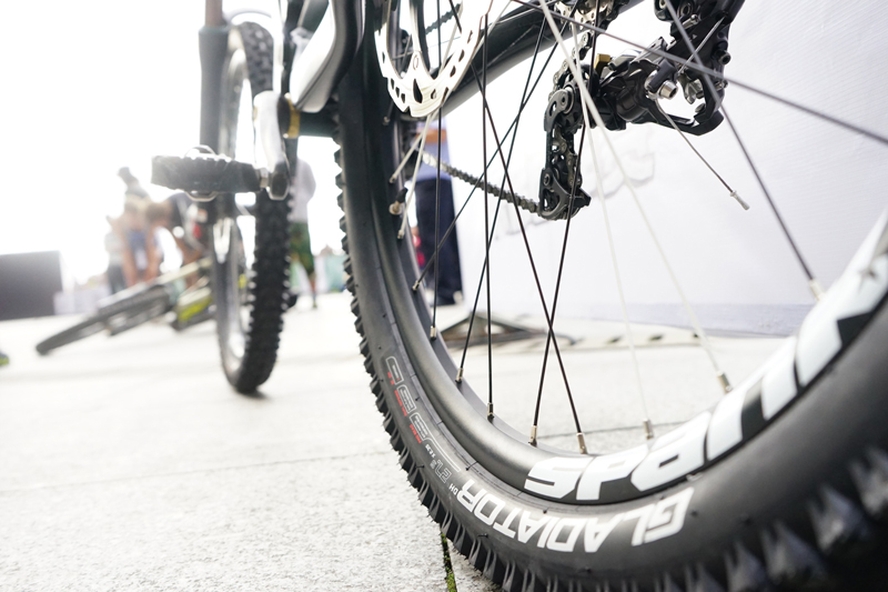 ������̥,��ţ,����,�ٽ���