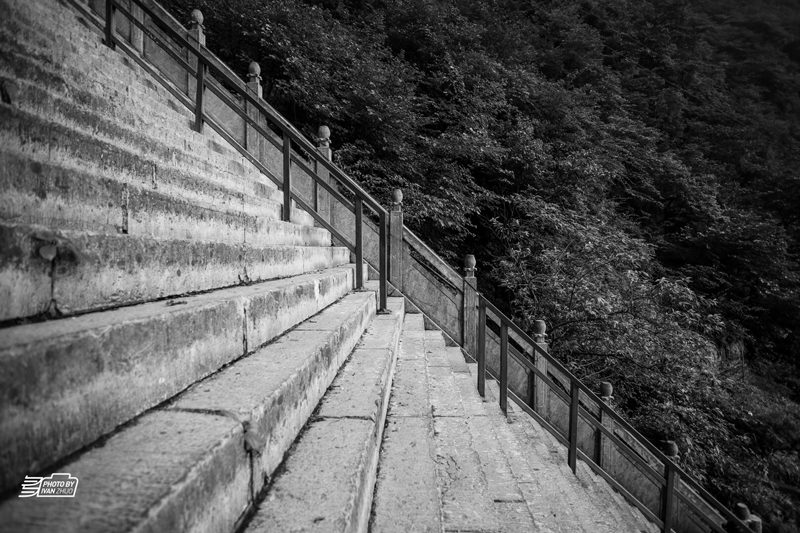 ������̥,��ţ,����,�ٽ���