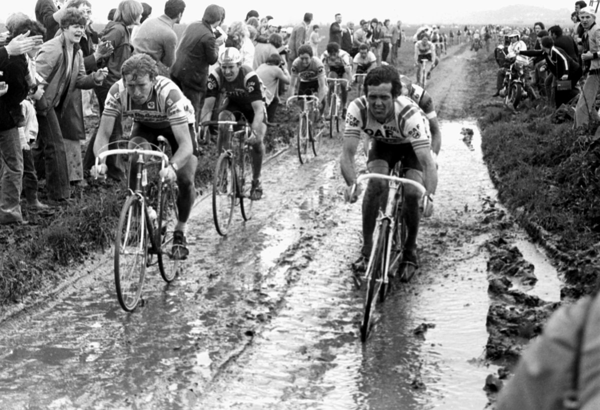 2017����-³��,�ŵ���