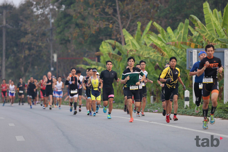 2017�����ǹ�������������