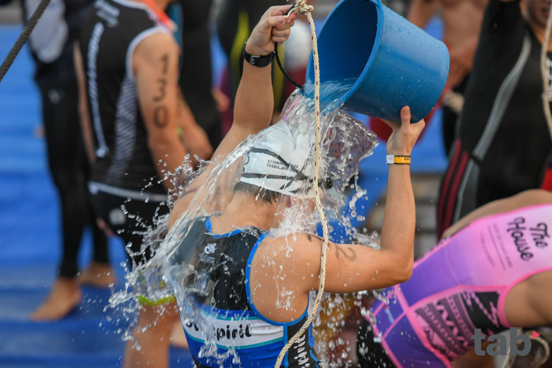 2017�����ǹ�������������