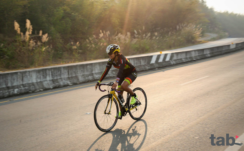 2017�����ǹ�������������