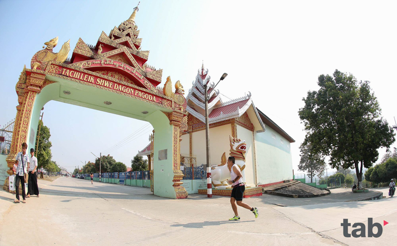 2017�����ǹ�������������