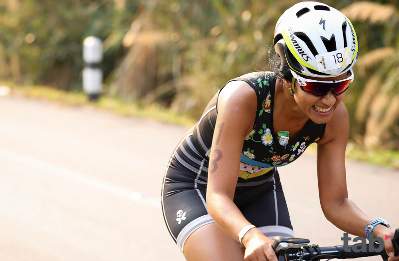 2017�����ǹ�������������