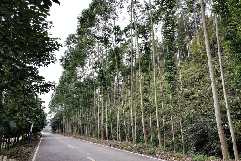 微信截图_20170418144224 拷贝.png 微信截图_20170418144224 拷贝.png