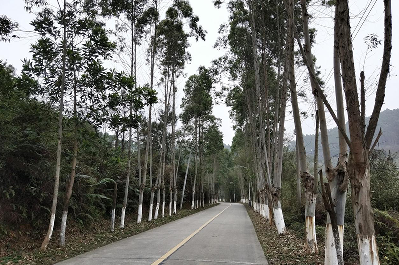 微信截图_20170418144157 拷贝.png 微信截图_20170418144157 拷贝.png