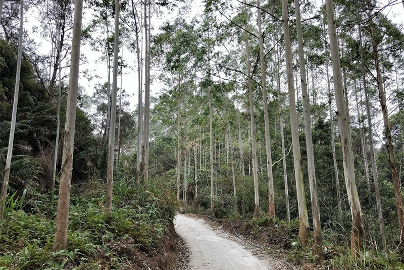 微信截图_20170418144204 拷贝.png 微信截图_20170418144204 拷贝.png