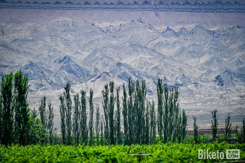 丝路信使 丝路信使