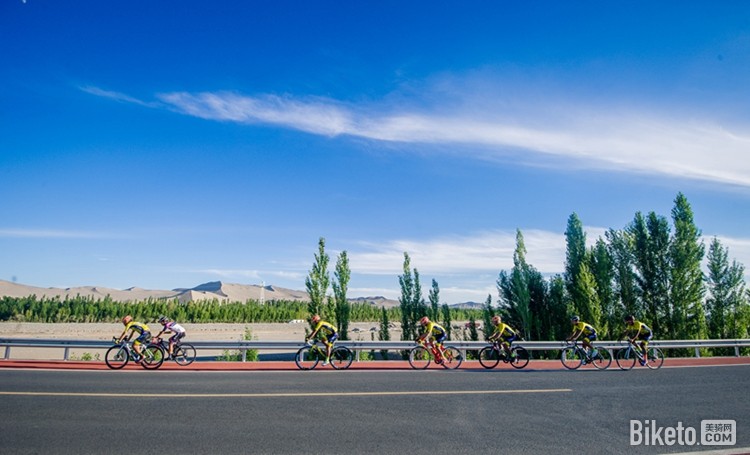 丝路信使 丝路信使