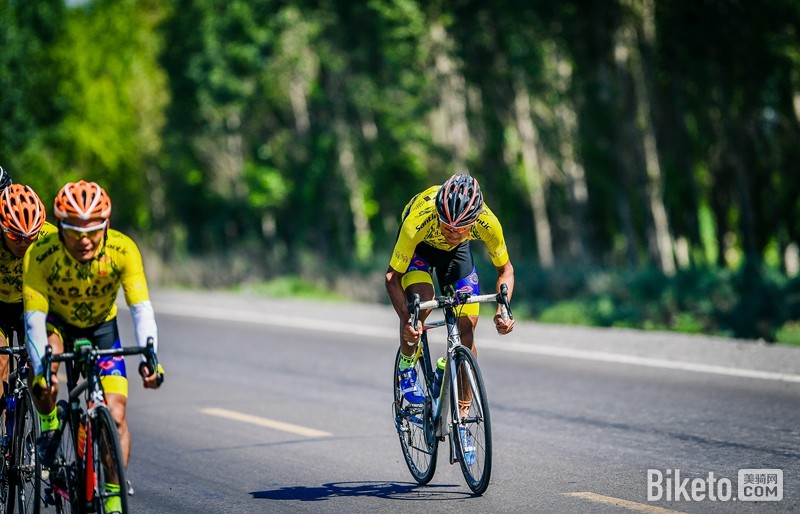 丝路信使 丝路信使