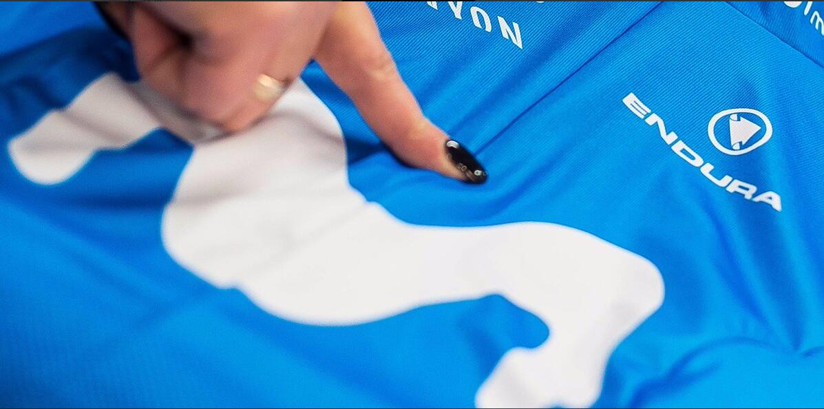 移动之星 移动之星