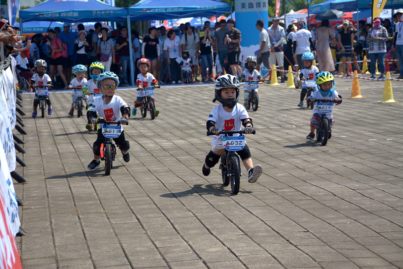 �������г���*�������г���