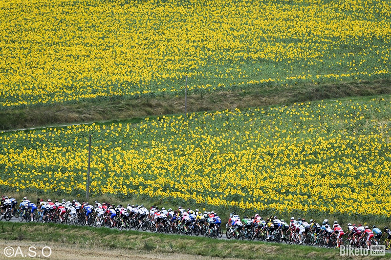 2018�������г���,�ܲ�,����������,����������,��ս