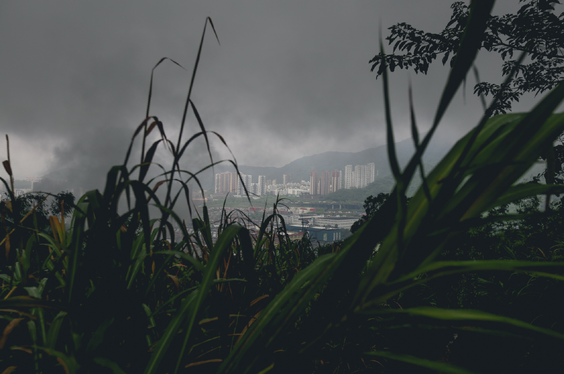 gdl广东速降联赛