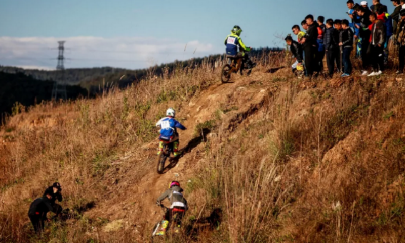 image004.png image004.png