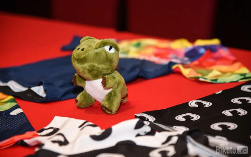 激荡三年——脉腾-霸王龙女子力量车队2020第四年正式发布!