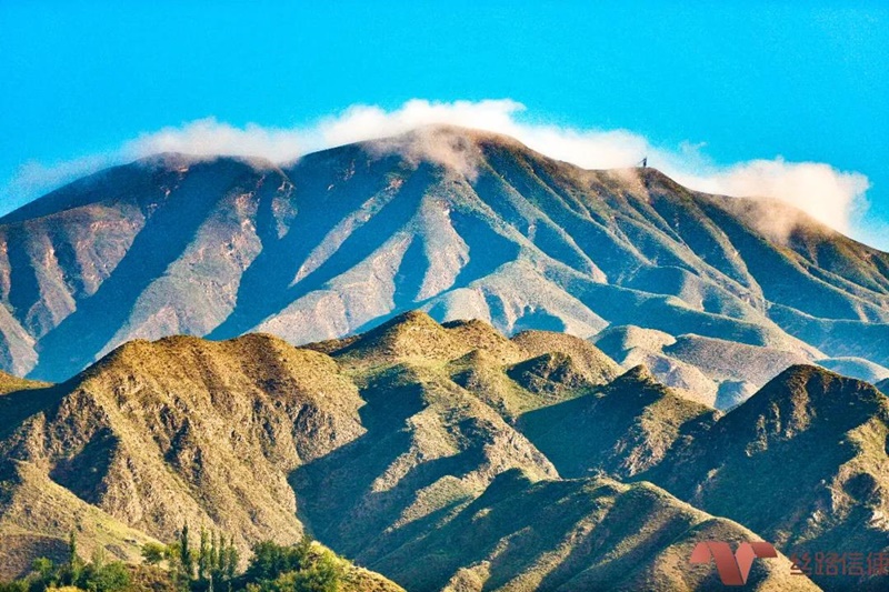 第四届丝路信使