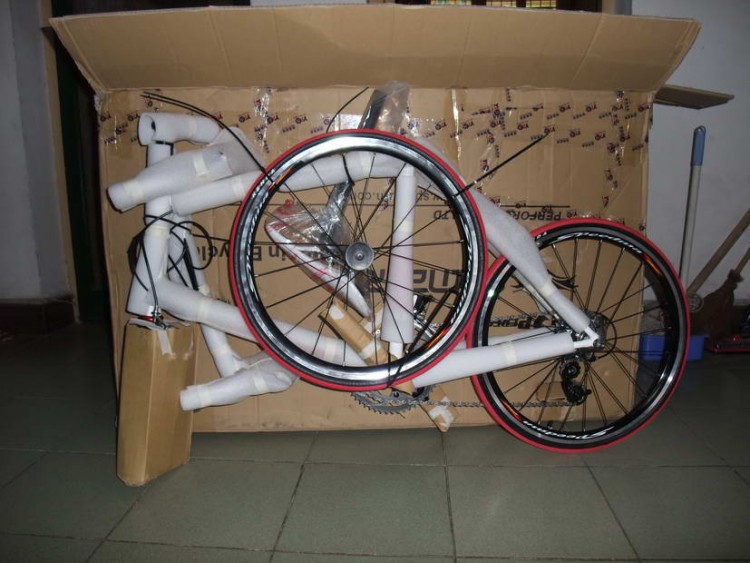 PERFORMER Eclipse RIVAL