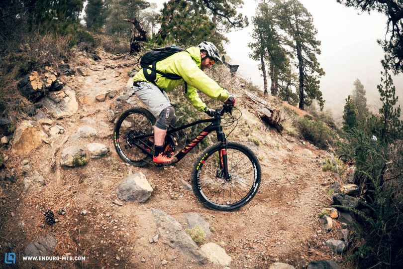 ��;�������������λע������