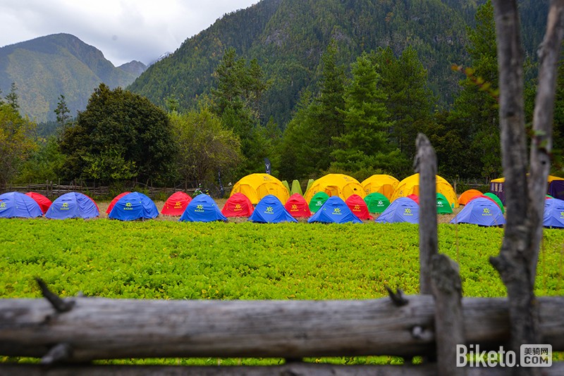 ����֪ʶ,����¶Ӫ