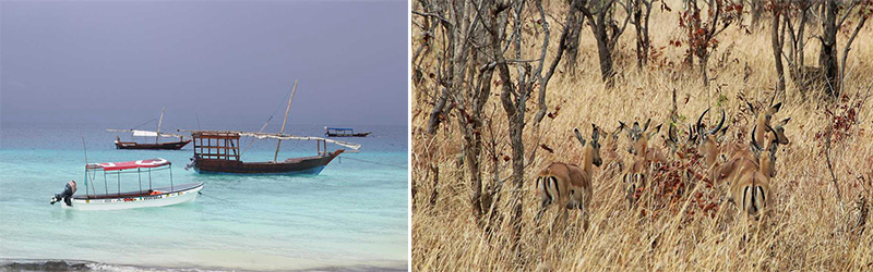 旅行感悟,国外骑游 旅行感悟,国外骑游