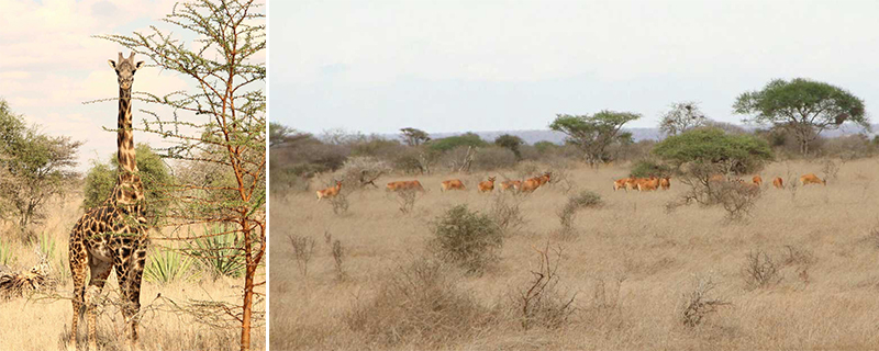 旅行感悟,国外骑游 旅行感悟,国外骑游