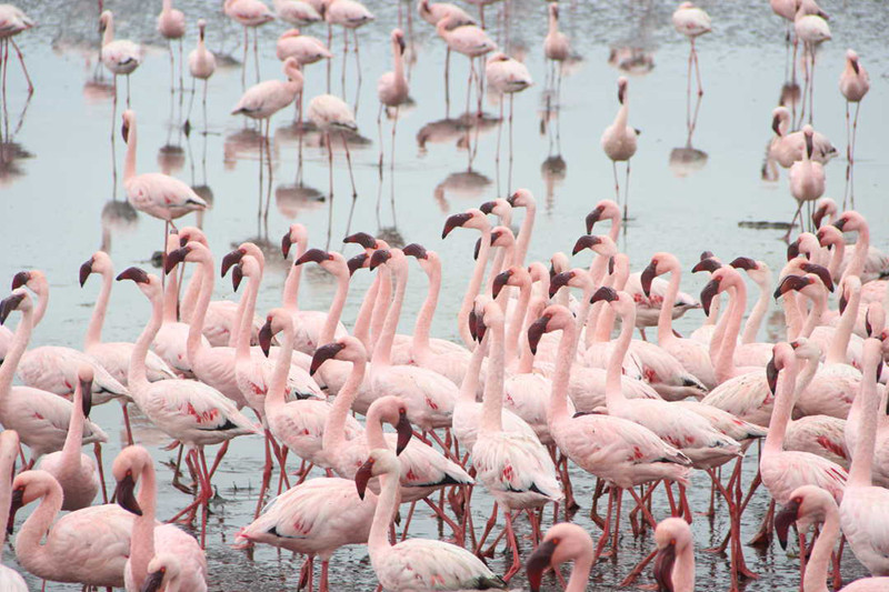 环骑地球,单车旅行,旅行感悟 环骑地球,单车旅行,旅行感悟