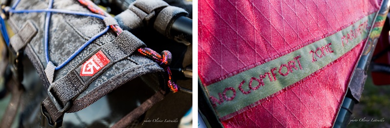 单车旅行,Bikepacking,带孩子骑行 单车旅行,Bikepacking,带孩子骑行