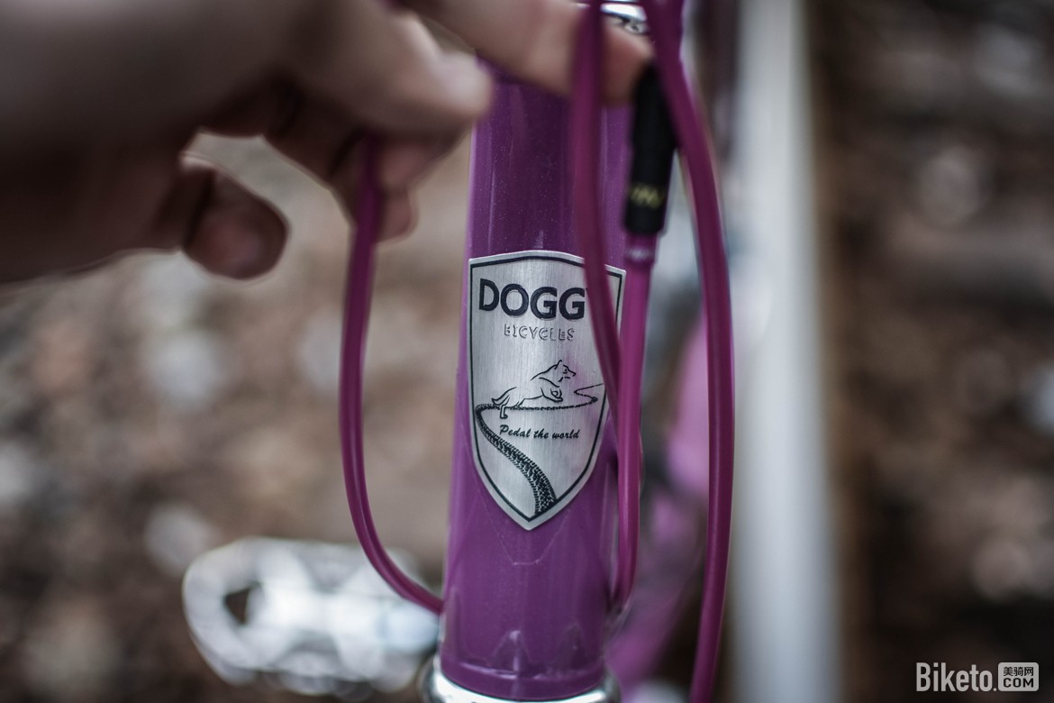 国产旅行车,DOGGY灵犬,单车旅行 国产旅行车,DOGGY灵犬,单车旅行