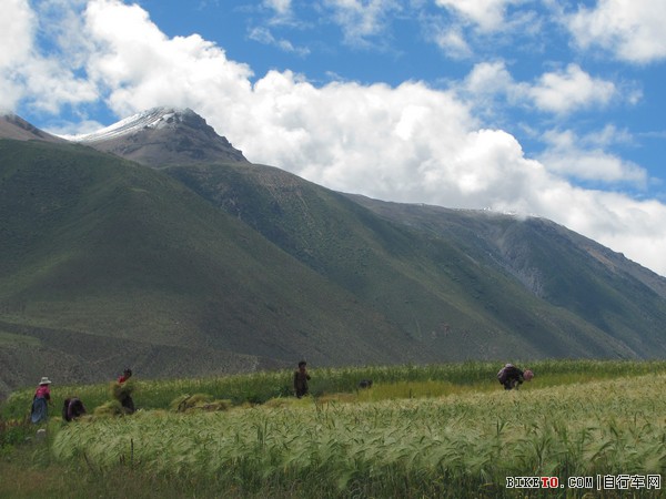 IMG_0065 (2)_nEO_IMG.jpg