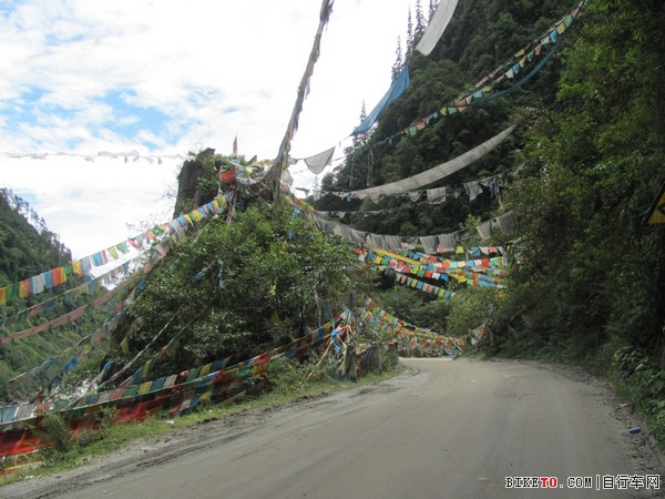 IMG_0254 (2)_nEO_IMG.jpg