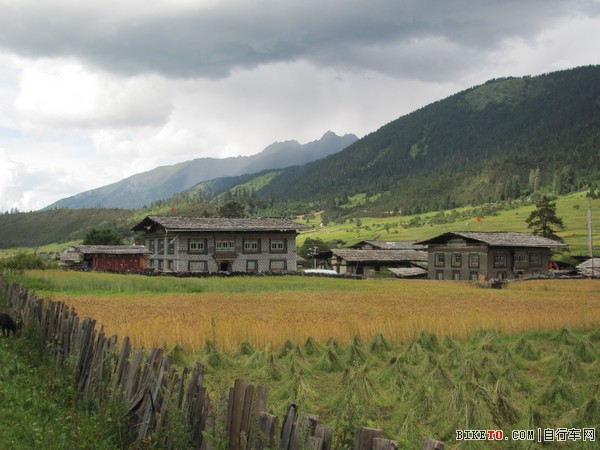 IMG_0302 (2)_nEO_IMG.jpg