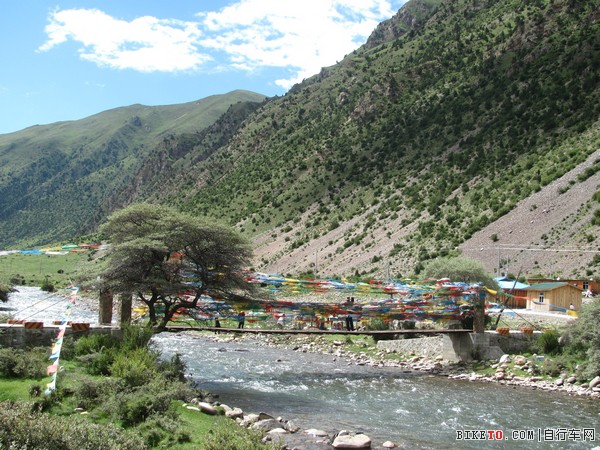 IMG_0533 (2)_nEO_IMG.jpg